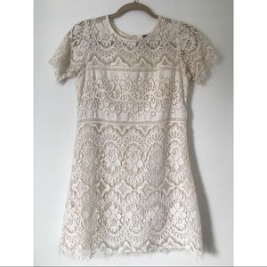 Free People Eyelash Babydoll Mini Dress (Size 6)
